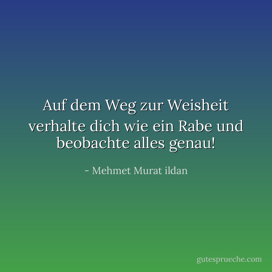 Auf dem Weg zur Weisheit verhalte dich wie ein Rabe und beobachte alles genau! - Mehmet Murat ildan<
