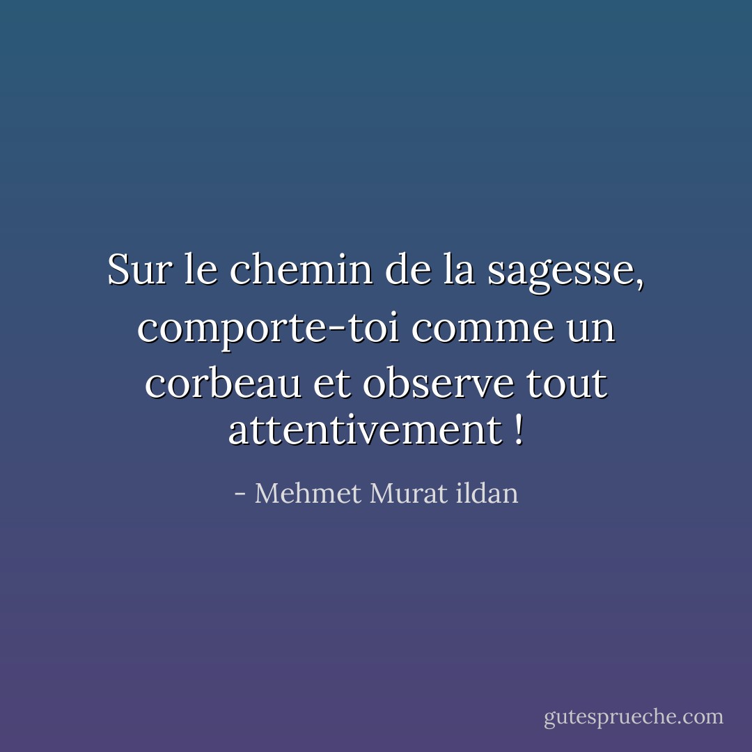 Sur le chemin de la sagesse, comporte-toi comme un corbeau et observe tout attentivement ! - Mehmet Murat ildan
