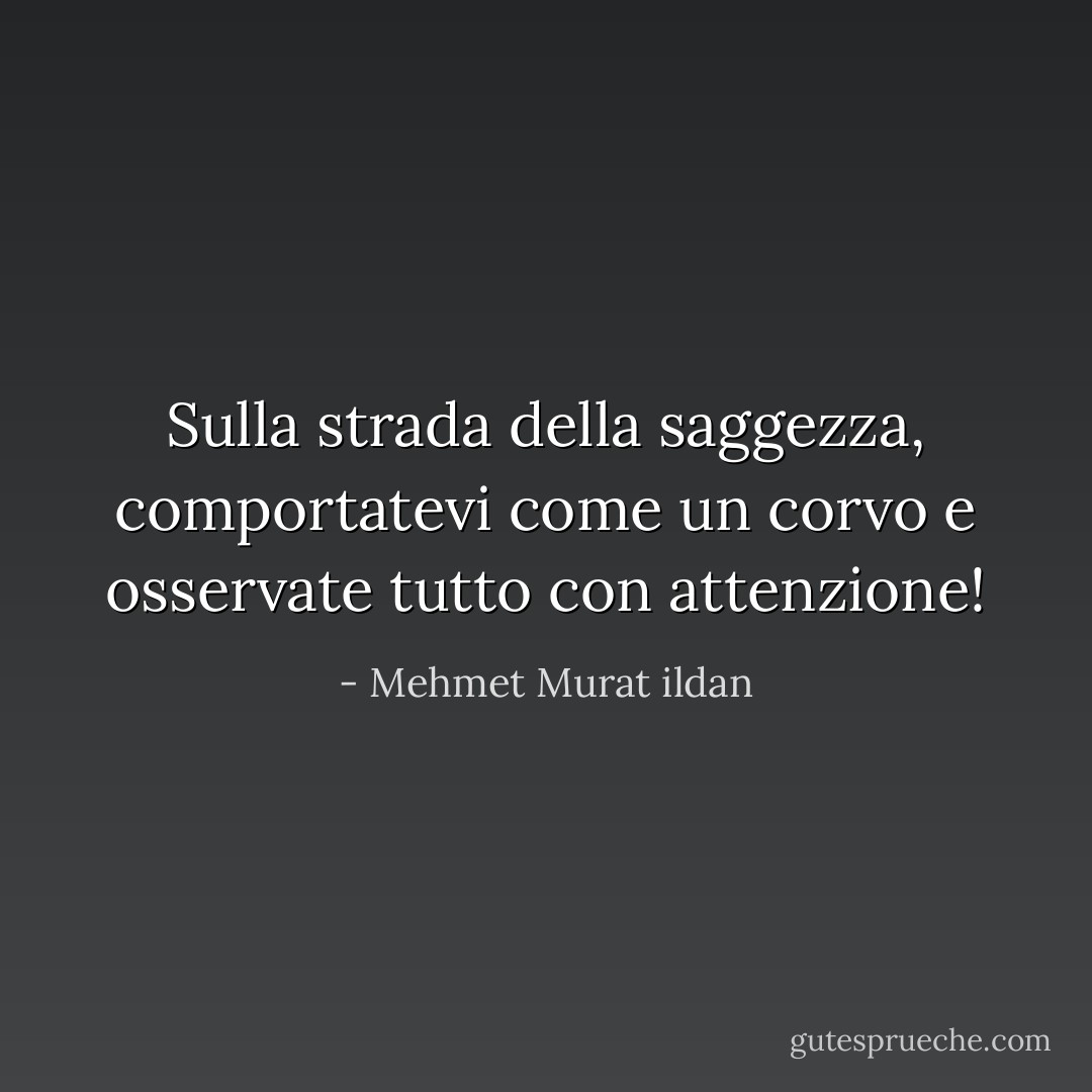 Sulla strada della saggezza, comportatevi come un corvo e osservate tutto con attenzione! - Mehmet Murat ildan
