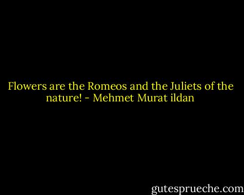 Flowers are the Romeos and the Juliets of the nature! - Mehmet Murat ildan