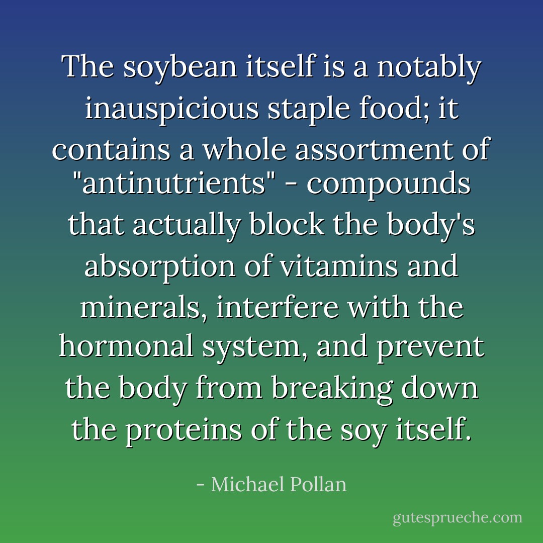 The soybean itself is a notably inauspicious staple food; it contains a whole assortment of "antinutrients" - compounds that actually block the body's absorption of vitamins and minerals, interfere with the hormonal system, and prevent the body from breaking down the proteins of the soy itself. - Michael Pollan
