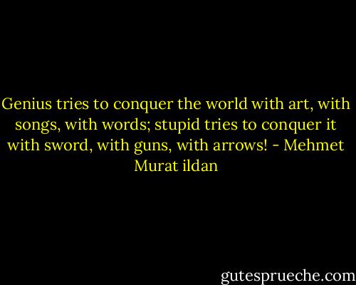 Genius tries to conquer the world with art, with songs, with words; stupid tries to conquer it with sword, with guns, with arrows! - Mehmet Murat ildan