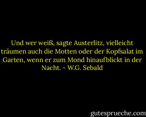 Und wer weiß, sagte Austerlitz, vielleicht träumen auch die Motten oder der Kopfsalat im Garten, wenn er zum Mond hinaufblickt in der Nacht. - W.G. Sebald