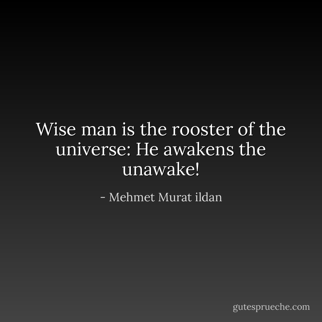 Wise man is the rooster of the universe: He awakens the unawake! - Mehmet Murat ildan