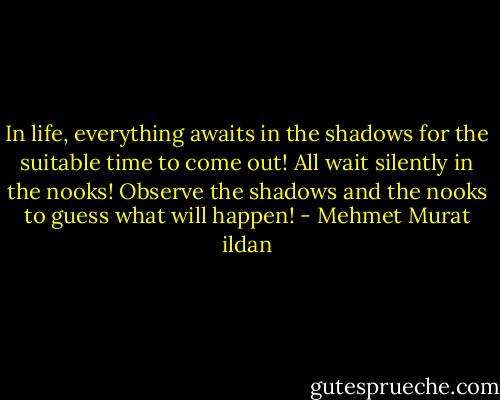 In life, everything awaits in the shadows for the suitable time to come out! All wait silently in the nooks! Observe the shadows and the nooks to guess what will happen! - Mehmet Murat ildan