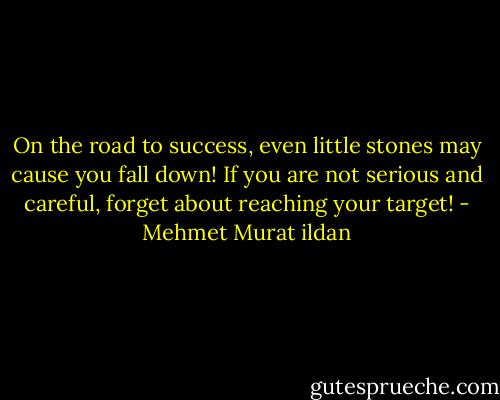 On the road to success, even little stones may cause you fall down! If you are not serious and careful, forget about reaching your target! - Mehmet Murat ildan