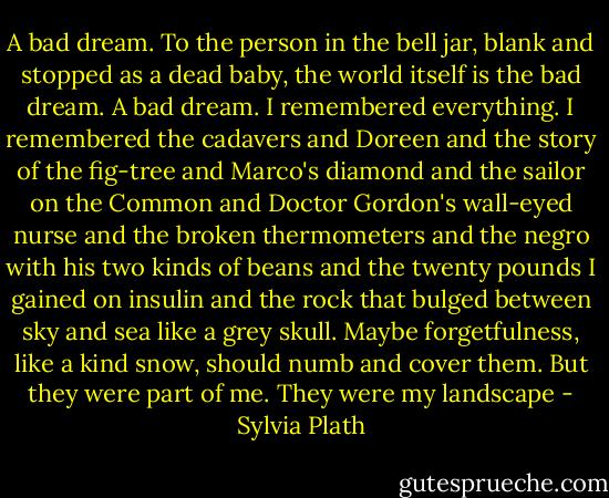 A bad dream.<br />To the person in the bell jar, blank and stopped as a dead baby, the world itself is the bad dream.<br />A bad dream.<br />I remembered everything.<br />I remembered the cadavers and Doreen and the story of the fig-tree and Marco's diamond and the sailor on the Common and Doctor Gordon's wall-eyed nurse and the broken thermometers and the negro with his two kinds of beans and the twenty pounds I gained on insulin and the rock that bulged between sky and sea like a grey skull.<br />Maybe forgetfulness, like a kind snow, should numb and cover them.<br />But they were part of me. They were my landscape - Sylvia Plath