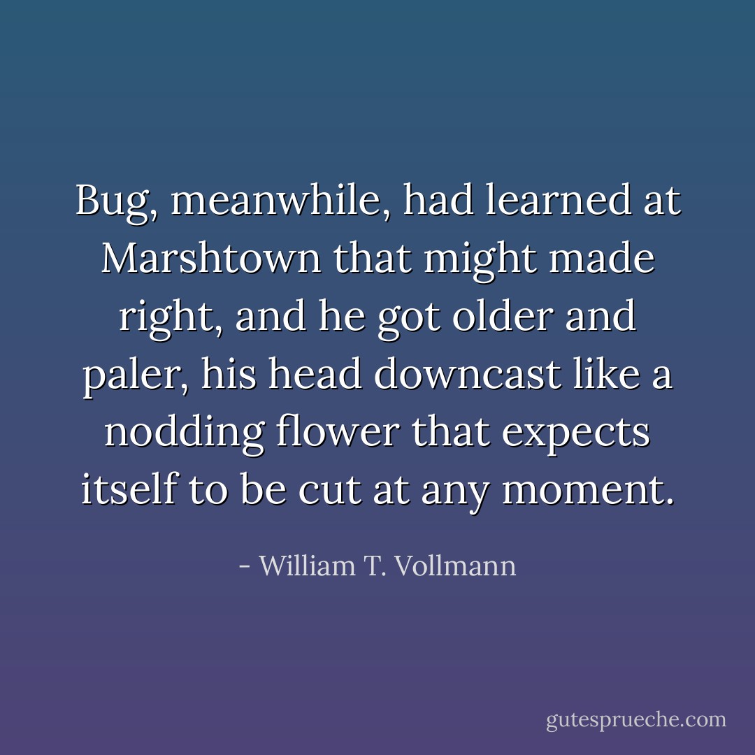 Bug, meanwhile, had learned at Marshtown that might made right, and he got older and paler, his head downcast like a nodding flower that expects itself to be cut at any moment. - William T. Vollmann