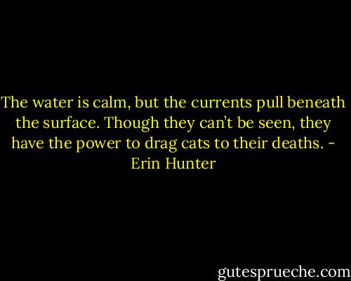 The water is calm, but the currents pull beneath the surface. Though they can’t be seen, they have the power to drag cats to their deaths. - Erin Hunter