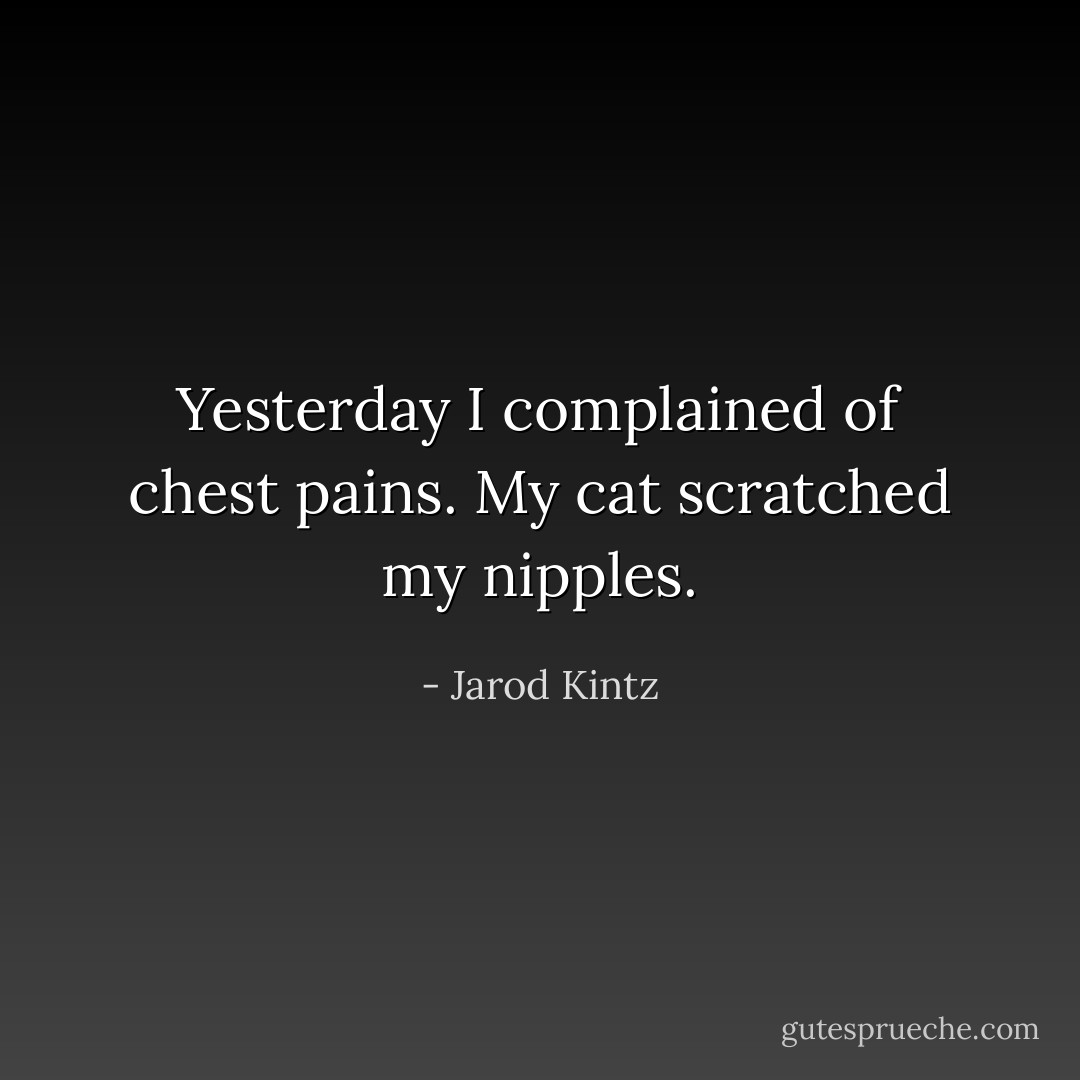 Yesterday I complained of chest pains. My cat scratched my nipples. - Jarod Kintz