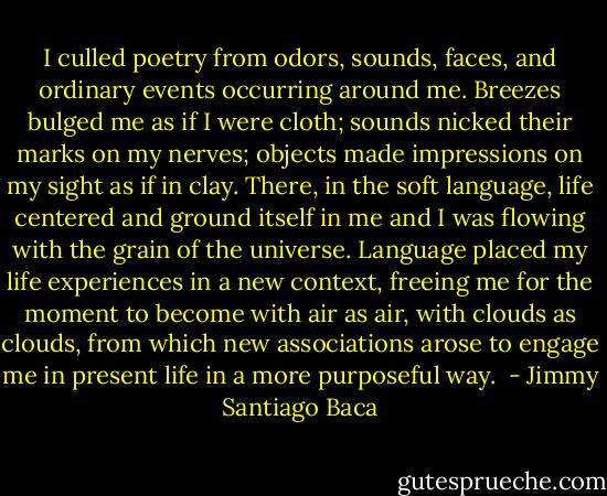I culled poetry from odors, sounds, faces, and ordinary events occurring around me. Breezes bulged me as if I were cloth; sounds nicked their marks on my nerves; objects made impressions on my sight as if in clay. There, in the soft language, life centered and ground itself in me and I was flowing with the grain of the universe. Language placed my life experiences in a new context, freeing me for the moment to become with air as air, with clouds as clouds, from which new associations arose to engage me in present life in a more purposeful way.  - Jimmy Santiago Baca