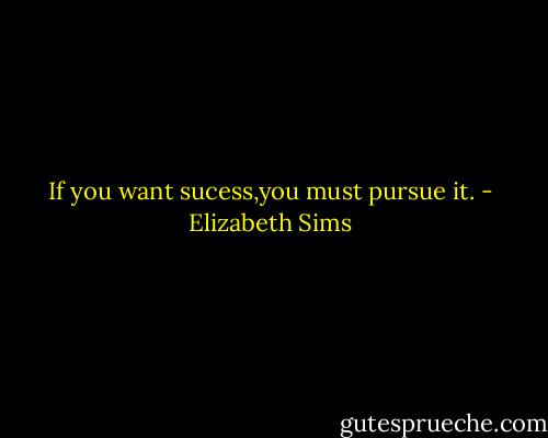 If you want sucess,you must pursue it. - Elizabeth Sims