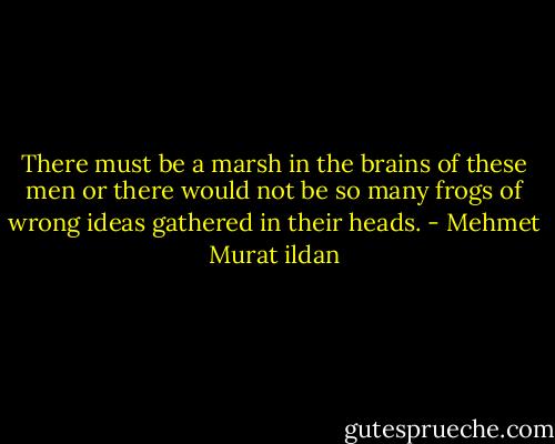 There must be a marsh in the brains of these men or there would not be so many frogs of wrong ideas gathered in their heads. - Mehmet Murat ildan
