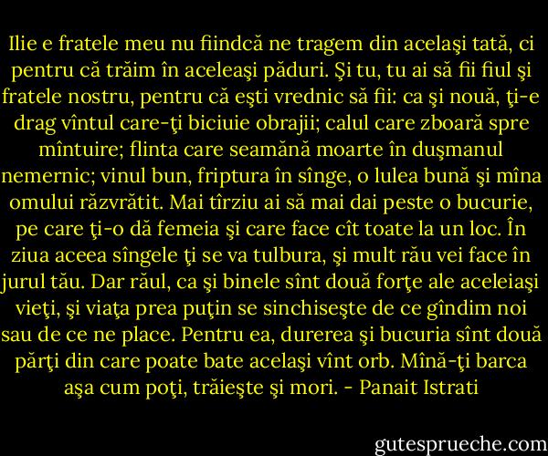 Ilie e fratele meu nu fiindcă ne tragem din acelaşi tată, ci pentru că trăim în aceleaşi păduri. Şi tu, tu ai să fii fiul şi fratele nostru, pentru că eşti vrednic să fii: ca şi nouă, ţi-e drag vîntul care-ţi biciuie obrajii; calul care zboară spre mîntuire; flinta care seamănă moarte în duşmanul nemernic; vinul bun, friptura în sînge, o lulea bună şi mîna omului răzvrătit. Mai tîrziu ai să mai dai peste o bucurie, pe care ţi-o dă femeia şi care face cît toate la un loc. În ziua aceea sîngele ţi se va tulbura, şi mult rău vei face în jurul tău. Dar răul, ca şi binele sînt două forţe ale aceleiaşi vieţi, şi viaţa prea puţin se sinchiseşte de ce gîndim noi sau de ce ne place. Pentru ea, durerea şi bucuria sînt două părţi din care poate bate acelaşi vînt orb. Mînă-ţi barca aşa cum poţi, trăieşte şi mori. - Panait Istrati