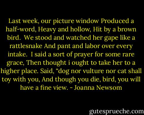 Last week, our picture window<br />Produced a half-word,<br />Heavy and hollow,<br />Hit by a brown bird.<br /><br />We stood and watched her gape like a rattlesnake<br />And pant and labor over every intake.<br /><br />I said a sort of prayer for some rare grace,<br />Then thought i ought to take her to a higher place.<br />Said, “dog nor vulture nor cat shall toy with you,<br />And though you die, bird, you will have a fine view. - Joanna Newsom