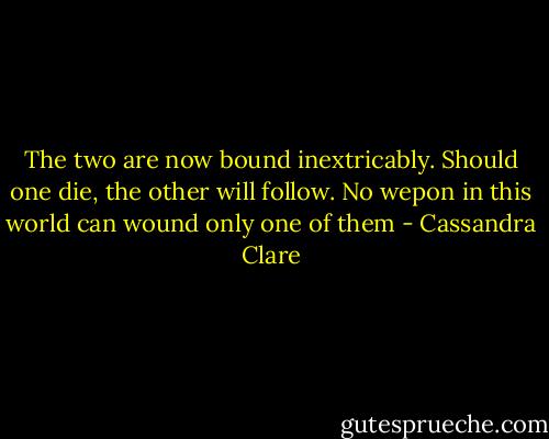 The two are now bound inextricably. Should one die, the other will follow. No wepon in this world can wound only one of them - Cassandra Clare