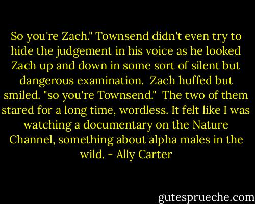 So you're Zach." Townsend didn't even try to hide the judgement in his voice as he looked Zach up and down in some sort of silent but dangerous examination.<br /><br />Zach huffed but smiled. "so you're Townsend."<br /><br />The two of them stared for a long time, wordless. It felt like I was watching a documentary on the Nature Channel, something about alpha males in the wild. - Ally Carter