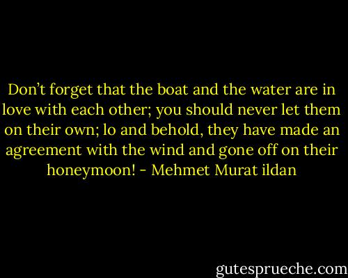 Don’t forget that the boat and the water are in love with each other; you should never let them on their own; lo and behold, they have made an agreement with the wind and gone off on their honeymoon! - Mehmet Murat ildan