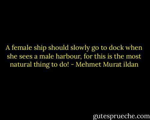 A female ship should slowly go to dock when she sees a male harbour, for this is the most natural thing to do! - Mehmet Murat ildan
