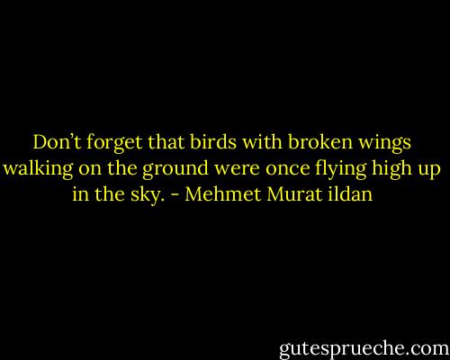 Don’t forget that birds with broken wings walking on the ground were once flying high up in the sky. - Mehmet Murat ildan
