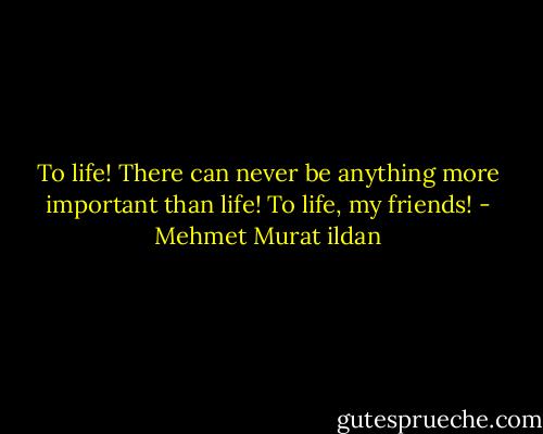 To life! There can never be anything more important than life! To life, my friends! - Mehmet Murat ildan