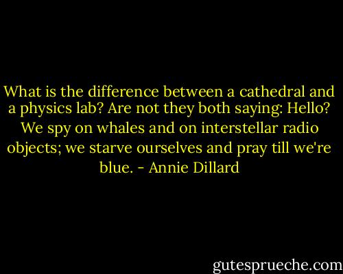 What is the difference between a cathedral and a physics lab? Are not they both saying: Hello? We spy on whales and on interstellar radio objects; we starve ourselves and pray till we're blue. - Annie Dillard