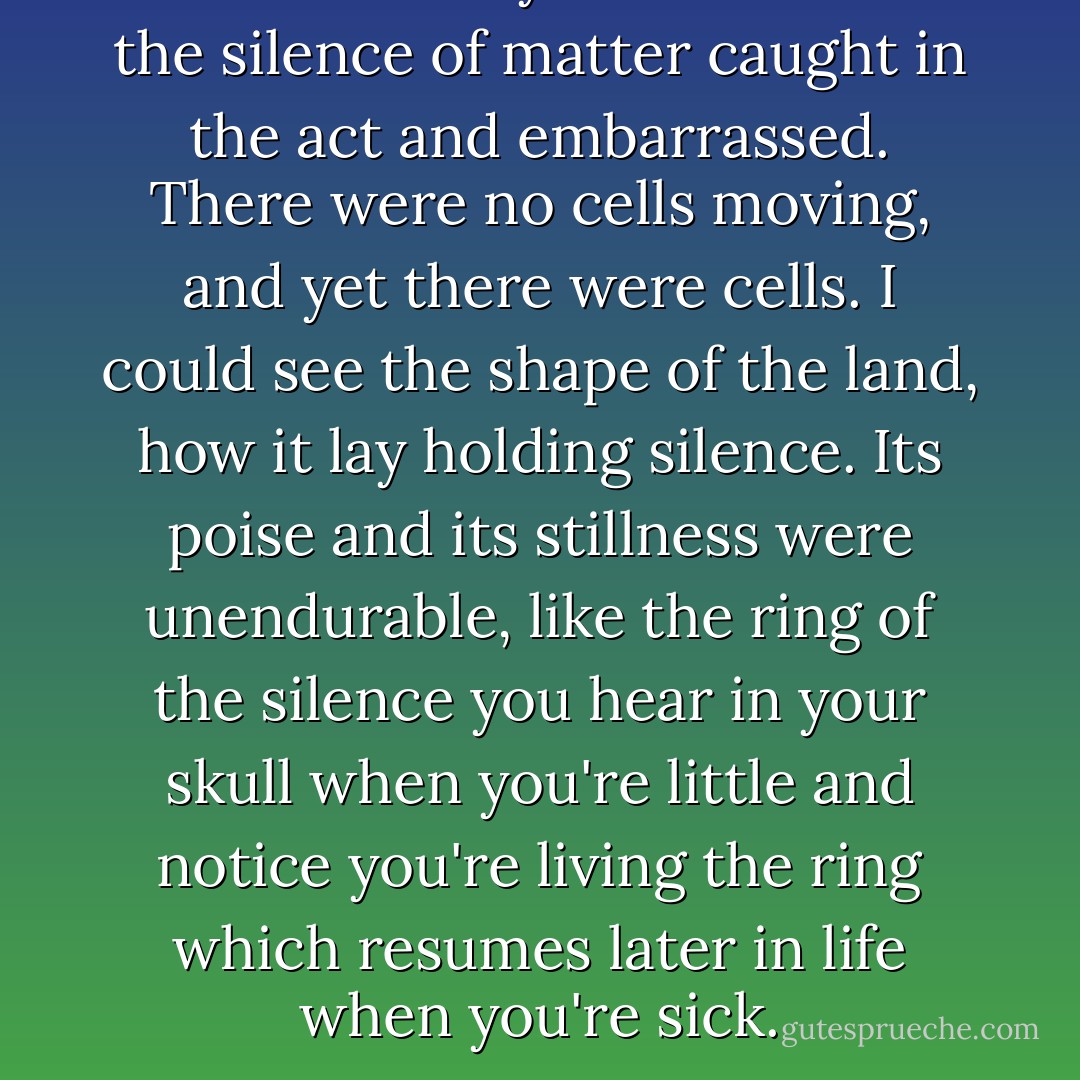 There was only silence. It was the silence of matter caught in the act and embarrassed. There were no cells moving, and yet there were cells. I could see the shape of the land, how it lay holding silence. Its poise and its stillness were unendurable, like the ring of the silence you hear in your skull when you're little and notice you're living the ring which resumes later in life when you're sick. - Annie Dillard