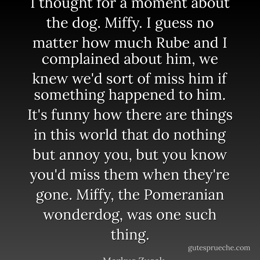I thought for a moment about the dog. Miffy. I guess no matter how much Rube and I complained about him, we knew we'd sort of miss him if something happened to him. It's funny how there are things in this world that do nothing but annoy you, but you know you'd miss them when they're gone. Miffy, the Pomeranian wonderdog, was one such thing. - Markus Zusak