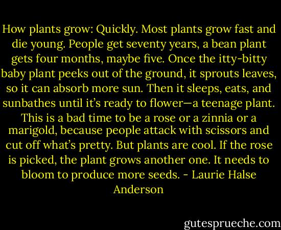How plants grow: Quickly. Most plants grow fast and die young. People get seventy years, a bean plant gets four months, maybe five. Once the itty-bitty baby plant peeks out of the ground, it sprouts leaves, so it can absorb more sun. Then it sleeps, eats, and sunbathes until it’s ready to flower—a teenage plant. This is a bad time to be a rose or a zinnia or a marigold, because people attack with scissors and cut off what’s pretty. But plants are cool. If the rose is picked, the plant grows another one. It needs to bloom to produce more seeds. - Laurie Halse Anderson