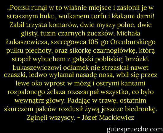 „Pocisk runął w to właśnie miejsce i zasłonił je w strasznym huku, wulkanem torfu i kłakami darni! Zabił trzysta komarów, dwie myszy polne, dwie glisty, tuzin czarnych żuczków, Michała Łukaszewicza, szeregowca 105-go Orenburskiego pułku piechoty, oraz sikorkę czarnogłówkę, którą strącił wybuchem z gałązki pobliskiej brzózki. Łukaszewiczowi odłamek nie strzaskał nawet czaszki, ledwo wyłamał nasadę nosa, wbił się przez lewe oko wprost w mózg i ostrymi kantami rozpalonego żelaza rozszarpał wszystko, co było wewnątrz głowy. Padając w trawę, ostatnim skurczem palców rozdusił żywą jeszcze biedronkę. Zginęli wszyscy. - Józef Mackiewicz
