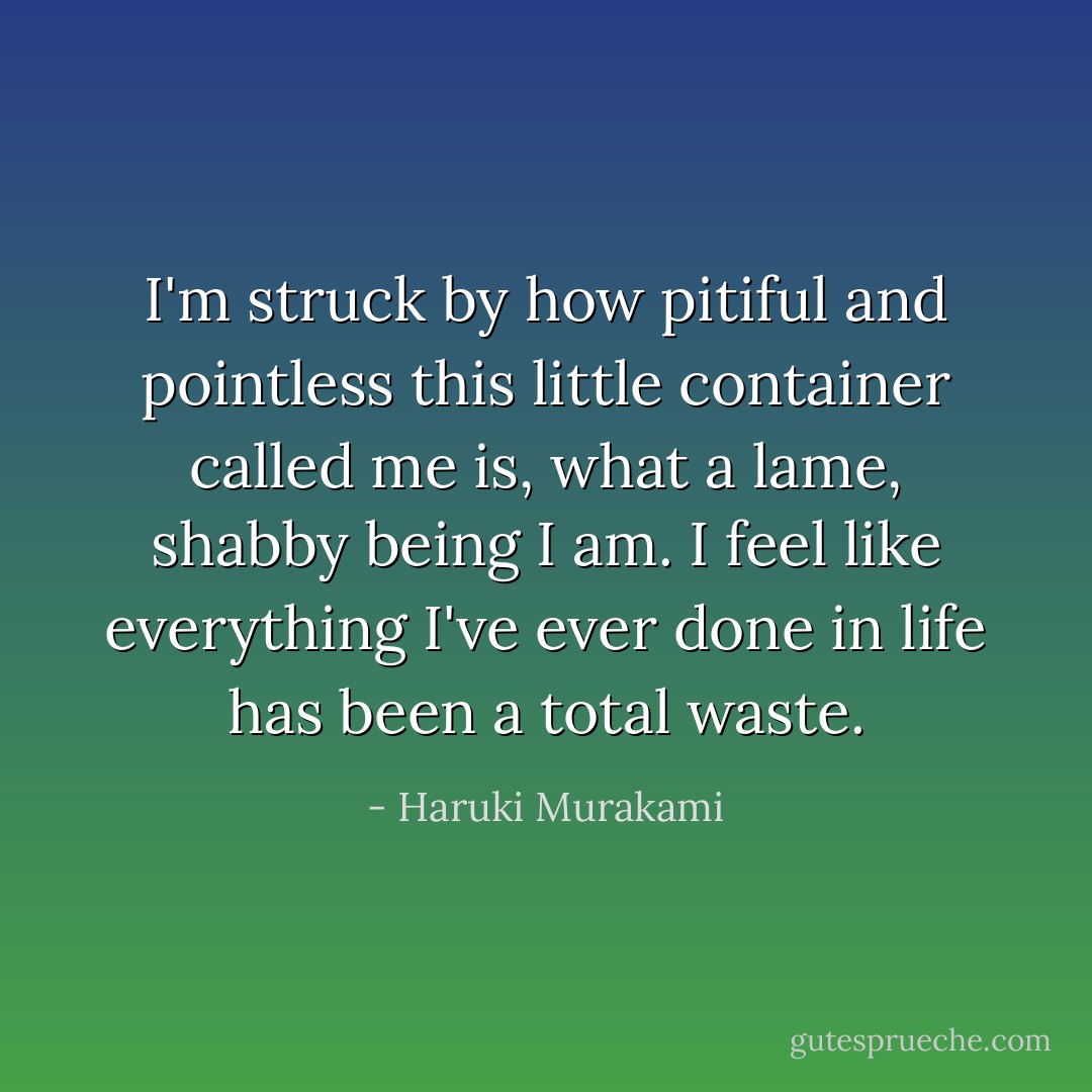 I'm struck by how pitiful and pointless this little container called <i>me</i> is, what a lame, shabby being I am. I feel like everything I've ever done in life has been a total waste. - Haruki Murakami