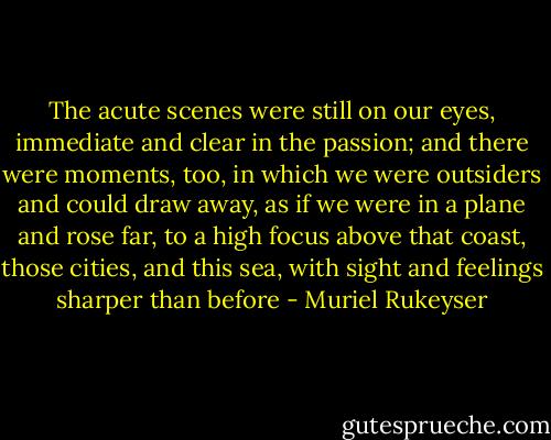 The acute scenes were still on our eyes, immediate and clear in the passion; and there were moments, too, in which we were outsiders and could draw away, as if we were in a plane and rose far, to a high focus above that coast, those cities, and this sea, with sight and feelings sharper than before - Muriel Rukeyser