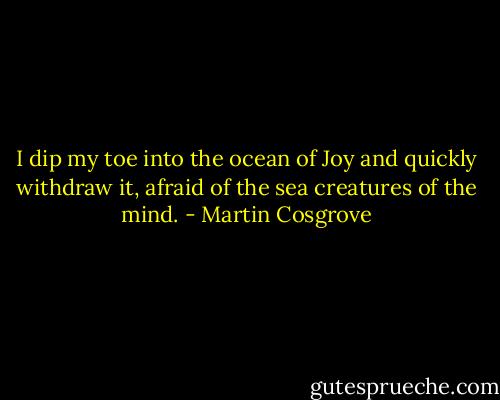 I dip my toe into the ocean of Joy and quickly withdraw it, afraid of the sea creatures of the mind. - Martin Cosgrove