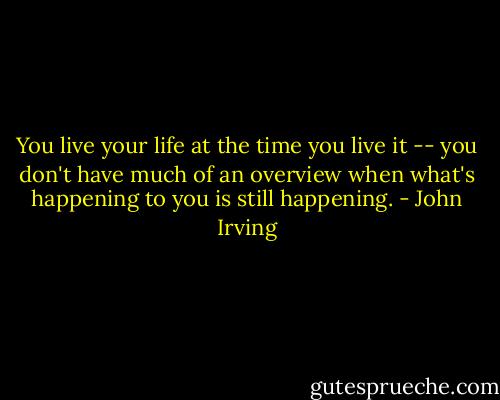 You live your life at the time you live it -- you don't have much of an overview when what's happening to you is still happening. - John Irving
