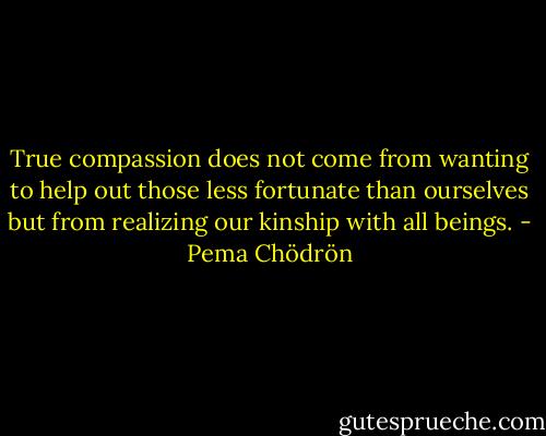 True compassion does not come from wanting to help out those less fortunate than ourselves but from realizing our kinship with all beings. - Pema Chödrön