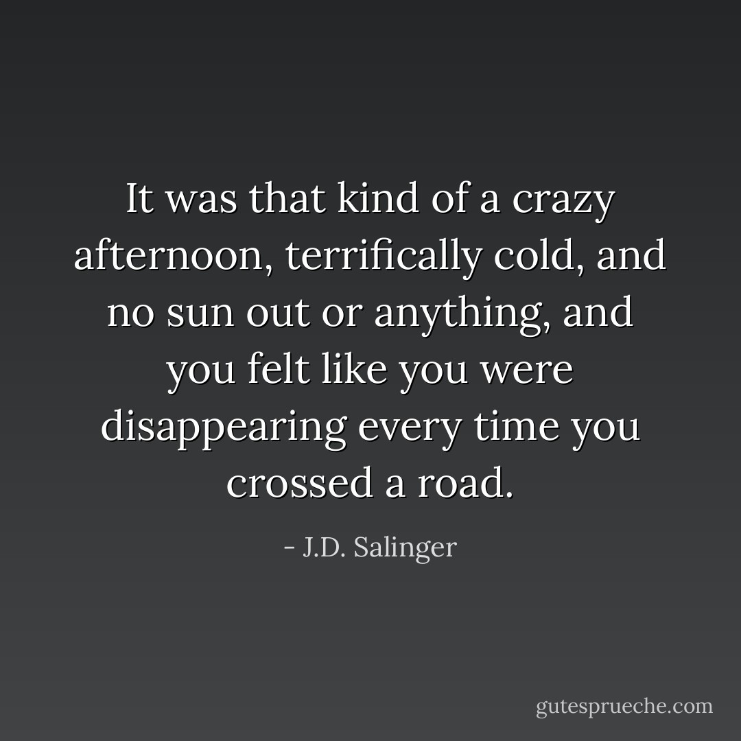 It was that kind of a crazy afternoon, terrifically cold, and no sun out or anything, and you felt like you were disappearing every time you crossed a road. - J.D. Salinger