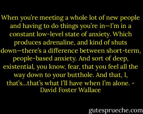 When you’re meeting a whole lot of new people and having to do things you’re in—I’m in a constant low-level state of anxiety. Which produces adrenaline, and kind of shuts down—there’s a difference between short-term, people-based anxiety. And sort of deep, existential, you know, fear, that you feel all the way down to your butthole. And that, I, that’s…that’s what I’ll have when I’m alone. - David Foster Wallace