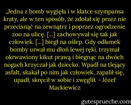 „Jedna z bomb wygięła i w klatce szympansa kraty, ale w ten sposób, że zdołał się przez nie przecisnąć na zewnątrz i poprzez ogrodzenie zoo na ulicę. [...] zachowywał się tak jak człowiek. [...] biegł na oślep. Gdy odłamek bomby urwał mu dłoń lewej ręki, trzymał okrwawiony kikut prawą i biegnąc na dwóch nogach krzyczał jak dziecko. Wpadł na tlejący asfalt, skakał po nim jak człowiek, zapalił się, upadł, skręcił w sobie i zwęglił. - Józef Mackiewicz