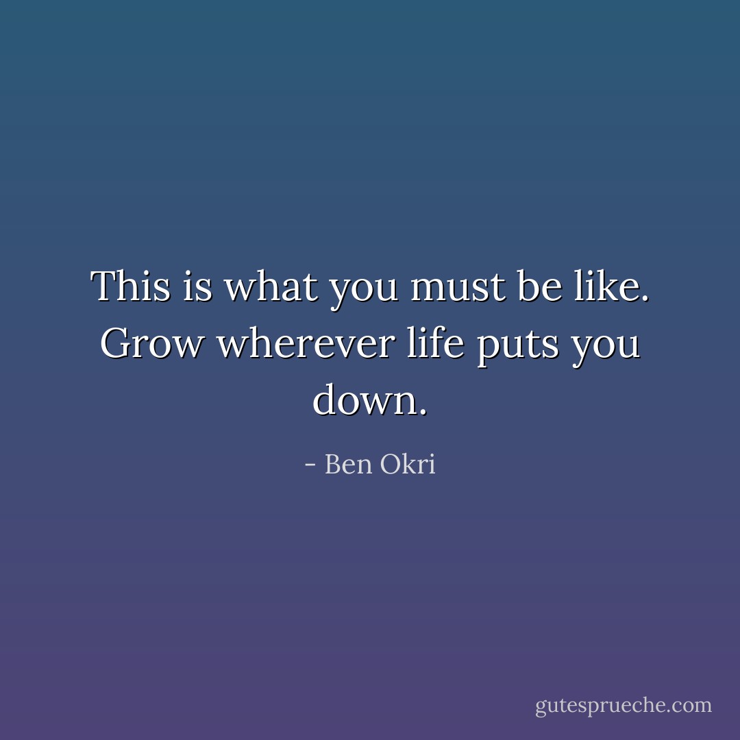 This is what you must be like. Grow wherever life puts you down. - Ben Okri