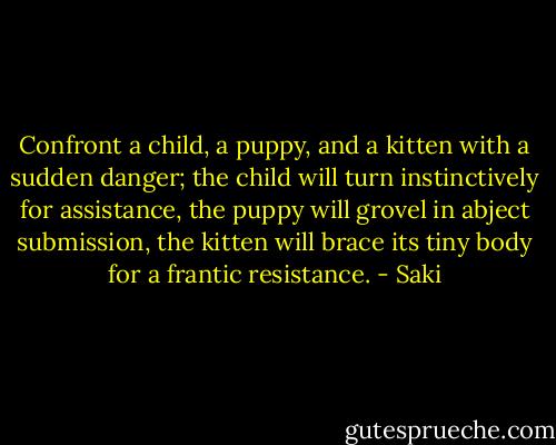 Confront a child, a puppy, and a kitten with a sudden danger; the child will turn instinctively for assistance, the puppy will grovel in abject submission, the kitten will brace its tiny body for a frantic resistance. - Saki