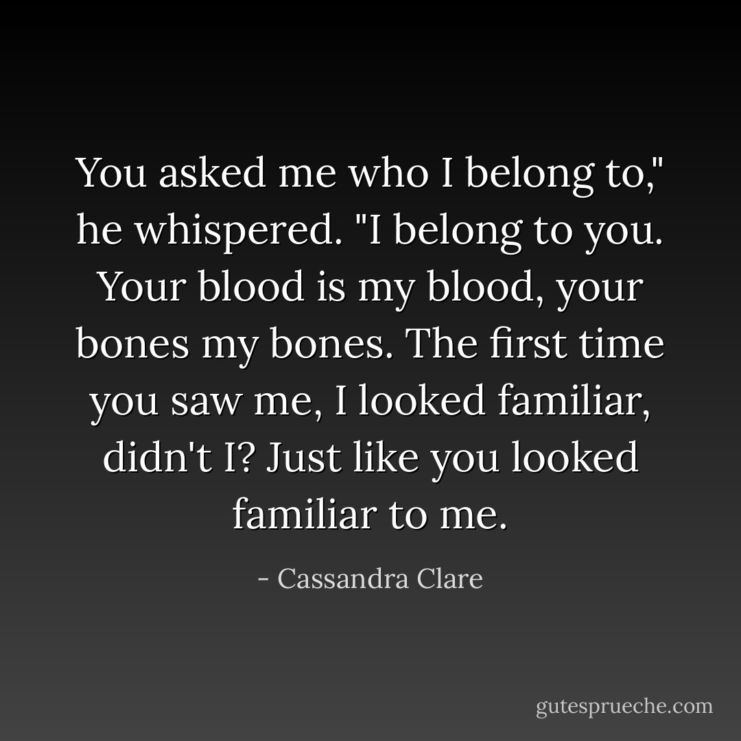 You asked me who I belong to," he whispered. "I belong to <i>you</i>. Your blood is my blood, your bones my bones. The first time you saw me, I looked familiar, didn't I? Just like you looked familiar to me. - Cassandra Clare
