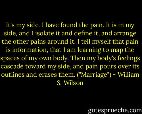 It's my side. I have found the pain. It is in my side, and I isolate it and define it, and arrange the other pains around it. I tell myself that pain is information, that I am learning to map the spaces of my own body. Then my body's feelings cascade toward my side, and pain pours over its outlines and erases them. ("Marriage") - William S. Wilson