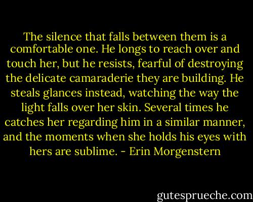 The silence that falls between them is a comfortable one. He longs to reach over and touch her, but he resists, fearful of destroying the delicate camaraderie they are building. He steals glances instead, watching the way the light falls over her skin. Several times he catches her regarding him in a similar manner, and the moments when she holds his eyes with hers are sublime. - Erin Morgenstern