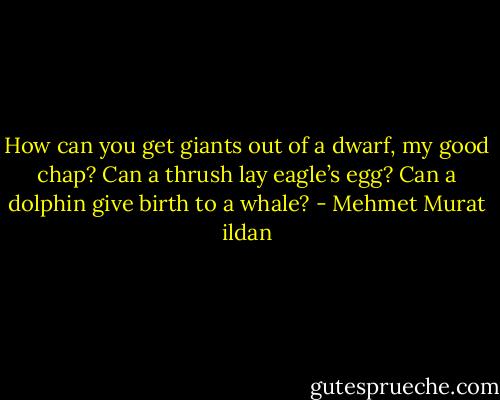 How can you get giants out of a dwarf, my good chap? Can a thrush lay eagle’s egg? Can a dolphin give birth to a whale? - Mehmet Murat ildan