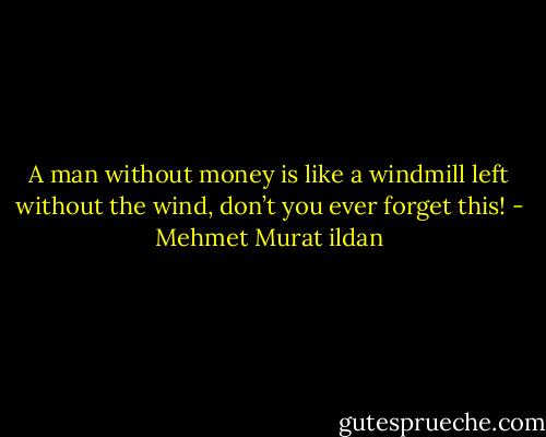 A man without money is like a windmill left without the wind, don’t you ever forget this! - Mehmet Murat ildan