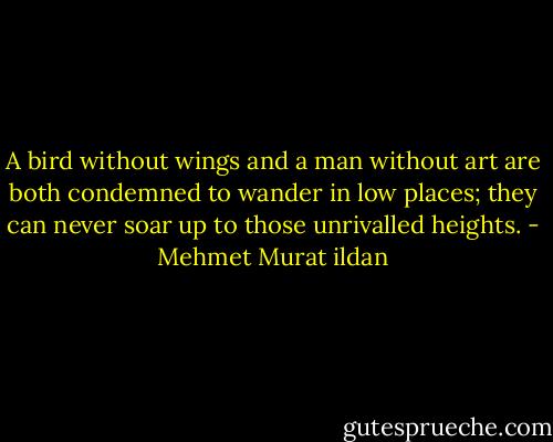 A bird without wings and a man without art are both condemned to wander in low places; they can never soar up to those unrivalled heights. - Mehmet Murat ildan