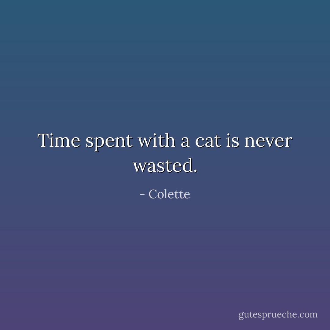 Time spent with a cat is never wasted. - Colette