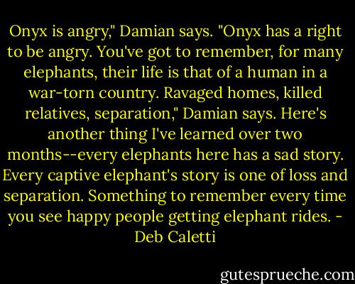 Onyx is angry," Damian says. "Onyx has a right to be angry. You've got to remember, for many elephants, their life is that of a human in a war-torn country. Ravaged homes, killed relatives, separation," Damian says. Here's another thing I've learned over two months--every elephants here has a sad story. Every captive elephant's story is one of loss and separation. Something to remember every time you see happy people getting elephant rides. - Deb Caletti