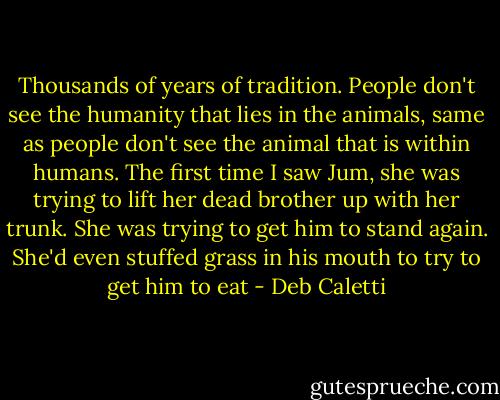 Thousands of years of tradition. People don't see the humanity that lies in the animals, same as people don't see the animal that is within humans. The first time I saw Jum, she was trying to lift her dead brother up with her trunk. She was trying to get him to stand again. She'd even stuffed grass in his mouth to try to get him to eat - Deb Caletti
