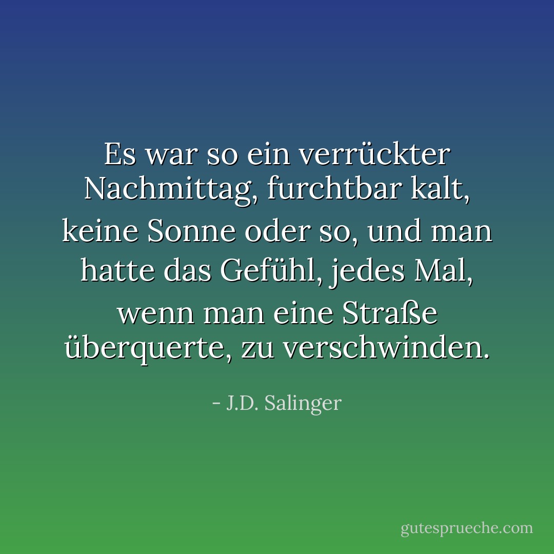 Es war so ein verrückter Nachmittag, furchtbar kalt, keine Sonne oder so, und man hatte das Gefühl, jedes Mal, wenn man eine Straße überquerte, zu verschwinden. - J.D. Salinger<